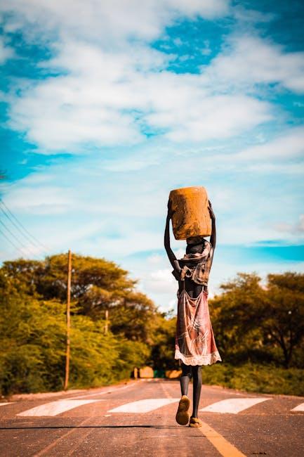 Here are a few options, catering to different angles:

General:

 Thriving Down Under: The African Australian Experience
 From Afro to Aussie: Navigating Life in Australia
 Building Bridges: Connecting African Communities in