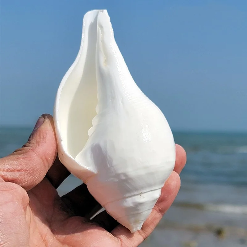 Buy Kf s cd cc ef de a aa a b in Australia.