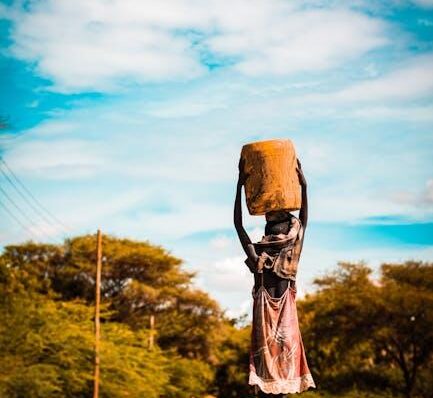 Here are some options, catering to different article focuses:
General/Community Focused:
 Thriving Down Under: The African Australian Experience
 Building Bridges: Connecting African Communities in Australia
 Afro-Aussie Vo