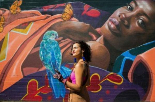 Unveiling the African Diaspora in Australia: Triumphs, Challenges, and Untold Stories