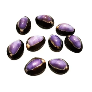 Buy Kf s d dc f e a b c c d d dc in Australia.